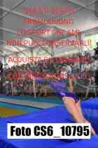 CS6_10795