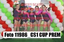 11986_CS1-CUP-PREM