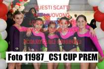 11987_CS1-CUP-PREM