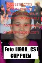 11990_CS1-CUP-PREM