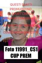 11991_CS1-CUP-PREM