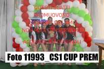 11993_CS1-CUP-PREM