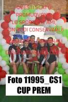 11995_CS1-CUP-PREM