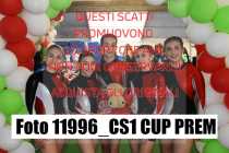 11996_CS1-CUP-PREM