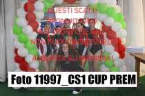 11997_CS1-CUP-PREM