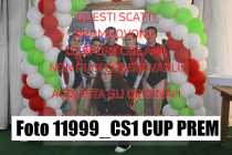 11999_CS1-CUP-PREM