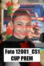12001_CS1-CUP-PREM