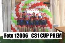 12006_CS1-CUP-PREM