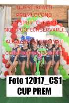 12017_CS1-CUP-PREM