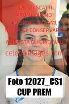 12027_CS1-CUP-PREM