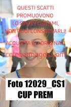 12029_CS1-CUP-PREM