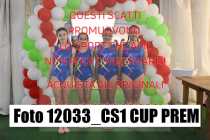 12033_CS1-CUP-PREM