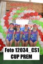 12034_CS1-CUP-PREM