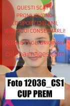 12036_CS1-CUP-PREM