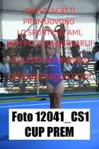 12041_CS1-CUP-PREM