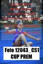 12043_CS1-CUP-PREM