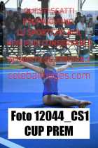 12044_CS1-CUP-PREM