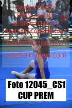 12045_CS1-CUP-PREM