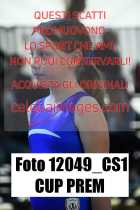 12049_CS1-CUP-PREM