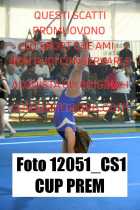 12051_CS1-CUP-PREM