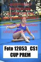 12053_CS1-CUP-PREM