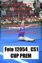 12054_CS1-CUP-PREM