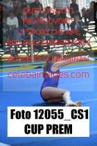 12055_CS1-CUP-PREM