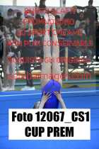 12067_CS1-CUP-PREM