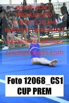 12068_CS1-CUP-PREM