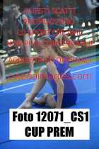 12071_CS1-CUP-PREM