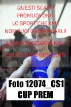 12074_CS1-CUP-PREM