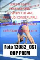 12082_CS1-CUP-PREM
