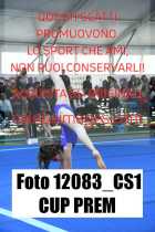 12083_CS1-CUP-PREM