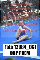 12084_CS1-CUP-PREM