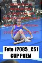 12085_CS1-CUP-PREM