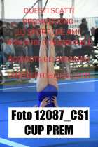 12087_CS1-CUP-PREM