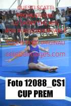12088_CS1-CUP-PREM