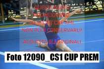 12090_CS1-CUP-PREM
