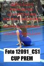 12091_CS1-CUP-PREM