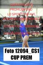12094_CS1-CUP-PREM