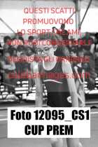 12095_CS1-CUP-PREM