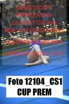 12104_CS1-CUP-PREM