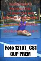 12107_CS1-CUP-PREM