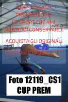 12119_CS1-CUP-PREM