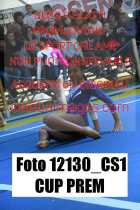 12130_CS1-CUP-PREM
