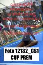 12132_CS1-CUP-PREM