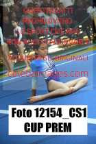12154_CS1-CUP-PREM