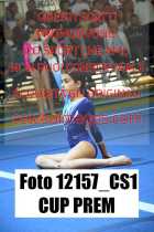 12157_CS1-CUP-PREM