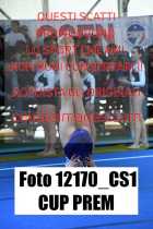 12170_CS1-CUP-PREM