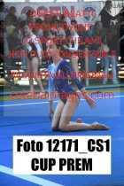 12171_CS1-CUP-PREM